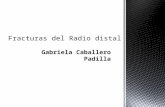 Fracturas del Radio distal