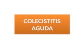 Colesistitis y colangitis aguda_medicina interna de harrison