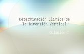 Oclusión 4 Determinación clínica de la dimensión vertical