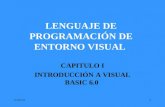 Lenguaje de programación de entorno visual