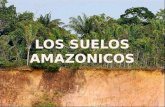 Los suelos amazonicos