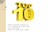 Top10 tamara