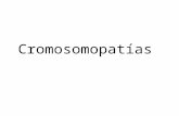 Cromosomopatias, clase 6