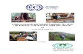 Recursos forestales y empleo en el Perú