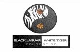 Black jaguar white tiger