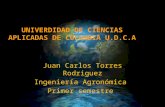 Univerdidad de ciencias aplicadas de colombia u