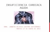 Insuficiencia Cardica Aguda Clase