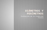 Diámetros y perímetros
