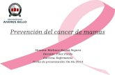 Prevención del cáncer de mamas (1)