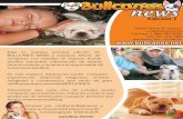 Bullcanes newsletter 1 - Espanol