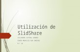 Utilizaci+¦n de slid share
