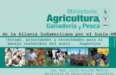 Estado, prioridades y necesidades para el manejo sostenible del suelo en Argentina - Carla Pascale