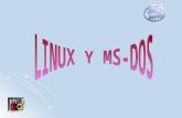 Sistemas Operativos Linux -MS DOS