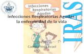 Infecciones respiratorias agudas DHPC CVI