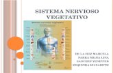 Presentación Sistema Nervioso Vegetativo