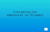 Contaminación ambiental en Ecuador