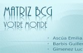 Matriz BCG - Votre Monde