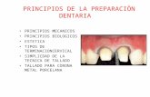 Principios de tallado dental 3