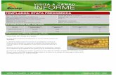 Agrotestigo-Maiz DEKALB-Campaña 1213-Informe Pre-cosecha Nº73