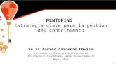 Presentación mentoring. Félix Cárdenas.