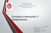 Consejo Comunal y Cooperativas