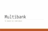 Multibank 1