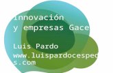 'Innovacion y empresas gacela'. Una presentación de Luis Pardo