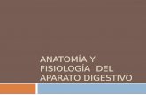 Anatomía y fisiología  del aparato digestivo