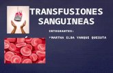 Transfucion completo
