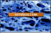 Nutricion osteocalcina