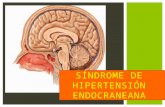 Sindrome de Hipertencion  Endocraneana