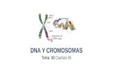 Tema 03 cap.05 dna y cromosomas