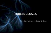 20110522 tuberculosis 1