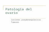 Ficha 63 y 64 patología del ovario