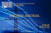 Circuitos Electrico Presentacion Roxana Alcalá