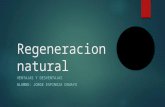 Regeneracion natural