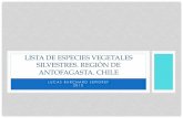Lista de especies vegetales silvestres antofagasta burchard 2015