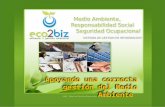 Eco2biz - Presentacion Gerencial