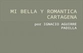 Mi bella y romantica cartagena