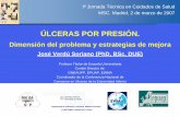 Úlceras por presión en España: dimensión del problema y experiencias de mejora