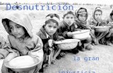 Trabajo Desnutrición