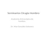 Anatomia artroscopica Hombro en español
