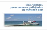 6 razones para conocer y disfrutar de Montego Bay