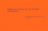 Presentacio animals vertebrats blog