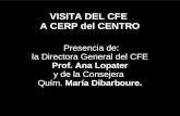 Visita del Consejo CFE a CeRP Centro
