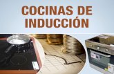 EC 434: Cocinas de inducción