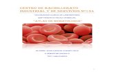 38990220 atlas-de-hematologia