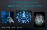 Diferencias entre el Internet y la WWW