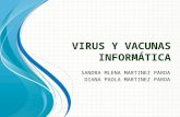 Virus y vacunas informática