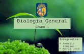 Los Procariontes - Biolog­a General